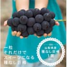 【2026年発送分先行受付】巨峰ぶどう(種なし) 1房500グラム以上 産地直送 山梨県山梨市牧丘産