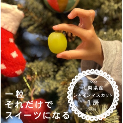 【12月1月発送】冬に食べられる シャインマスカット 1房(500g以上)山梨産
