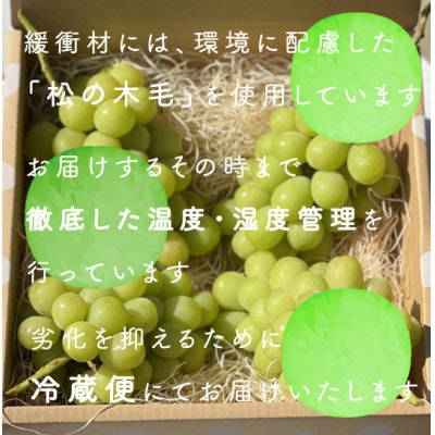 【年内発送】冬に食べられる シャインマスカット 4房 (計2kg以上) 山梨産