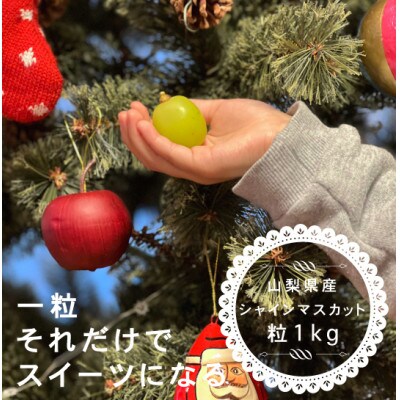【12月1月発送】冬に食べられる シャインマスカット  粒 (1kg以上)山梨産