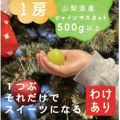 【年内発送】【訳あり】冬に食べられる シャインマスカット 1房(500g以上)山梨産