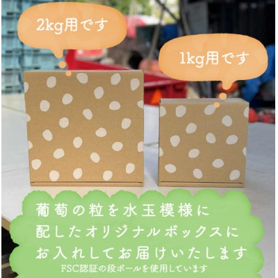【年内発送】【訳あり】冬に食べられる シャインマスカット 4房 (計2kg以上) 山梨産