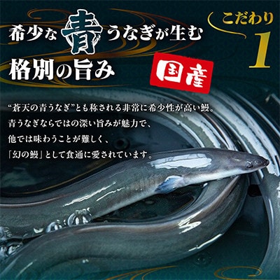 【セット】山梨県産富士山脈の地下水 うなぎの蒲焼[1尾約120g]+肝煮[約60g×2袋]