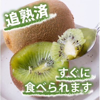 【フルーツ王国山梨】が贈る　完熟キウイフルーツ　1パック6個入り×6パックセット