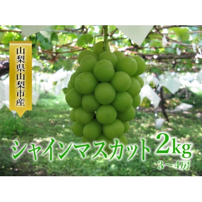 シャインマスカット 約2kg(3～4房)