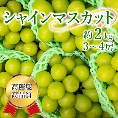 シャインマスカット 約2kg(3～4房)