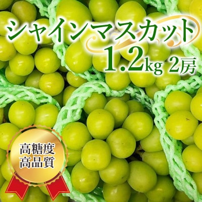 シャインマスカット 計1.2kg(2房)