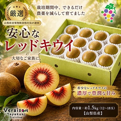 【2026発送】レッドキウイフルーツ化粧箱入り　産地直送約1.5kg(12～18玉)