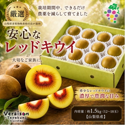 【2026発送】レッドキウイフルーツ約1.5kg(12～18玉)山梨県産糖度18度以上農家直送