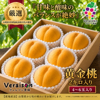 【2026発送予定】黄金桃2kg(4～6玉)朝どり直送濃厚とろける甘み×上品な酸味|山梨県産特選黄桃