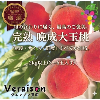 【2026発送予定】晩生品種3～6玉入り農家直送　2kg以上