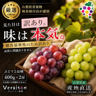 【2026発送予定】【訳あり】葡萄2色入り化粧箱入り　山梨市産地直送　約400g×2房