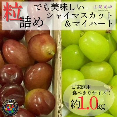 【2026年度発送】SDGs粒シャインマスカット&マイハート1kg相当