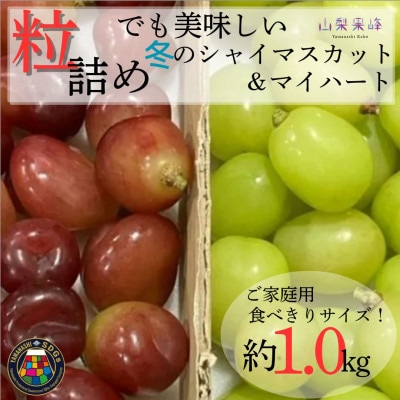 ★2026年度発送　SDGs 粒詰め　冬のシャインマスカット&マイハート　1kg相当