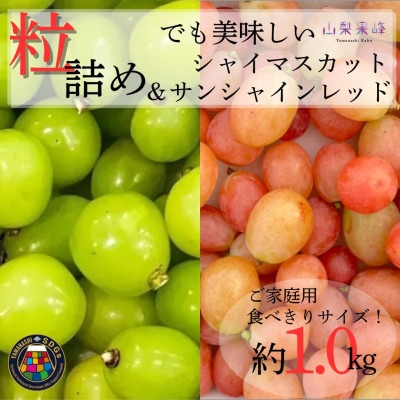 ★2026年度発送　SDGs　粒シャイン&サンシャインレッド　1kg相当