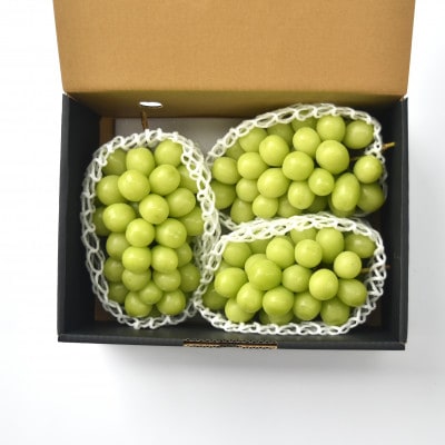 【発送月固定定期便】シャインマスカット2.0kg 3-4房全2回