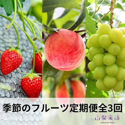 【発送月固定定期便】山梨市産　季節のフルーツ定期便全3回