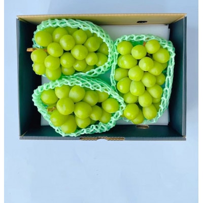 【発送月固定定期便】★2026年度　先行予約シャインマスカット2.0kg 3-4房全2回