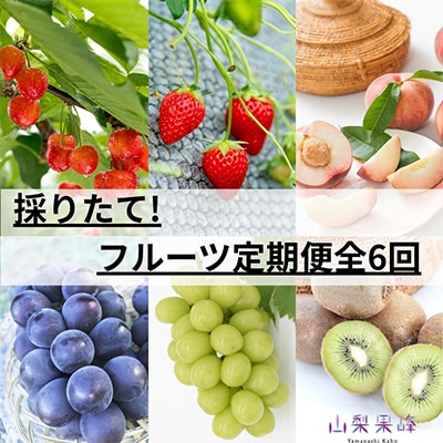 【発送月固定定期便】採りたて!フルーツ定期便全6回