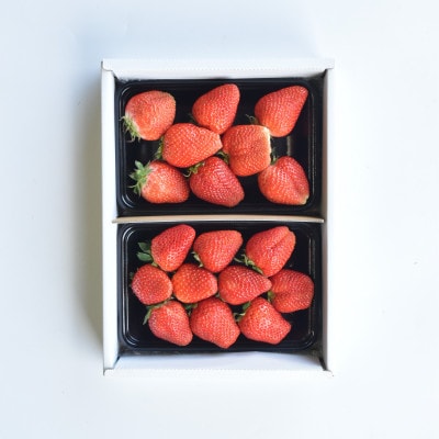 【発送月固定定期便】山梨市産　旬のフルーツ定期便全4回