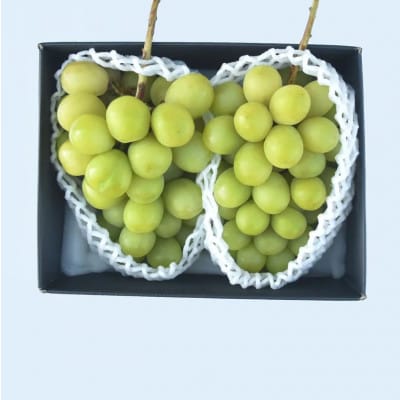 【発送月固定定期便】山梨市産　旬のフルーツ定期便全4回