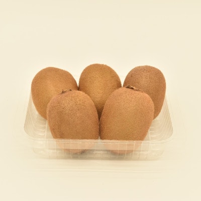 【発送月固定定期便】山梨市産　旬のフルーツ定期便全4回