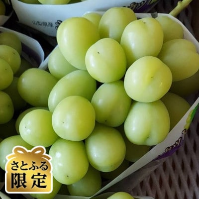 【さとふる限定】山梨市産ぶどうシャインマスカット 3房(計1.5kg)