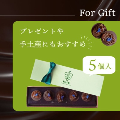 シャインマスカットレーズンのチョコレートマンディアン 5個入 山梨県産シャインマスカット使用