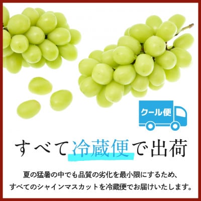 【2025年発送】山梨県山梨市牧丘 人気のシャインマスカット 2～3房(約1kg)