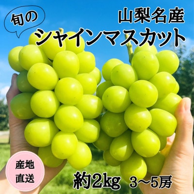 ◆2026年発送◆産地直送 山梨名産!旬のシャインマスカット 3～5房(約2kg)