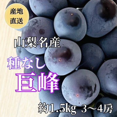 ◆2026年発送◆産地直送 山梨名産!種なし巨峰 3～4房(約1.5kg)