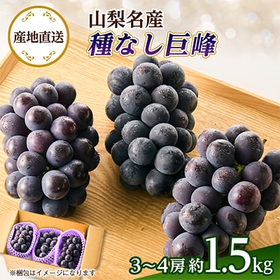 ◆2026年発送◆産地直送 山梨名産!種なし巨峰 3～4房(約1.5kg)