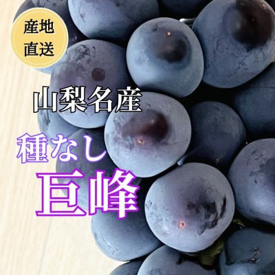 ◆2026年年発送◆産地直送　山梨名産!種なし巨峰　2房～3房(約1kg)