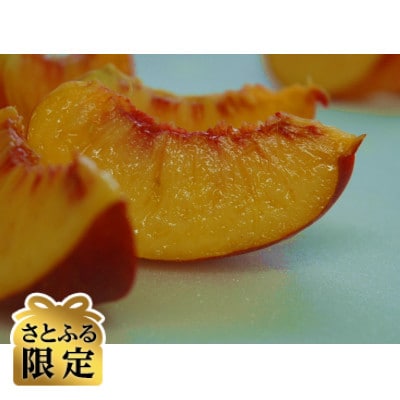 【さとふる限定】2026年先行 世界一美味いスイートネクタリン 約2kg(6〜12個)