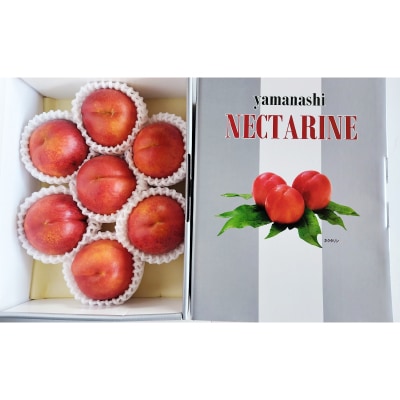 2026年先行　スイートネクタリン　約2kg(6～12個)