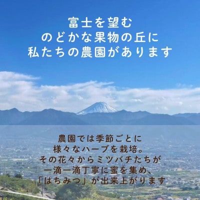 【さとふる限定】山梨市産 非加熱純粋はちみつ 185g×3本