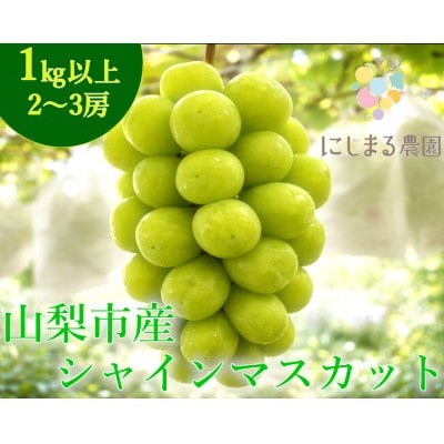 【2026年発送】シャインマスカット 2～3房 (約1kg) 山梨県山梨市産のフルーツ