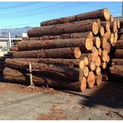 やまなしペレット　20kg(10kg×2袋)