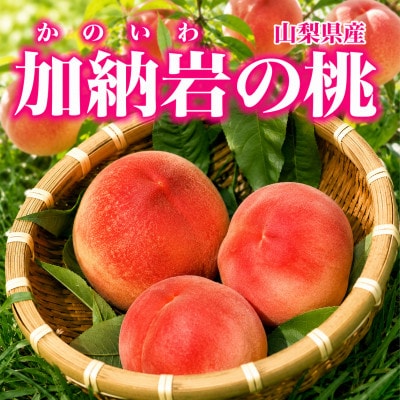 【山梨県山梨市産】加納岩の桃 旬のおまかせ 1kg(3玉)贈答用 ～世界農業遺産地域からお届け～