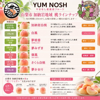 【山梨県山梨市産】加納岩の桃 旬のおまかせ 1kg(3玉)贈答用 ～世界農業遺産地域からお届け～