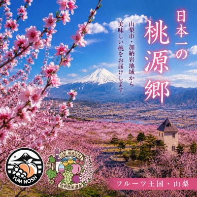 【山梨県山梨市産】加納岩の桃 旬のおまかせ 2kg(6玉)贈答用 〜世界農業遺産地域からお届け〜