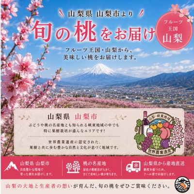 【山梨県産】訳あり ご家庭用 桃 3kg以上(8～10玉)旬のおまかせ クール便発送