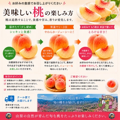 【山梨県産】訳あり ご家庭用 桃 3kg以上(8～10玉)旬のおまかせ クール便発送