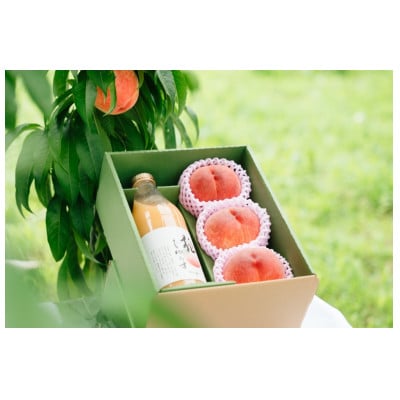 桃尽くしセット～桃3個と桃100%ジュース1本～
