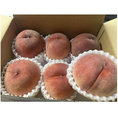 農家直送!山梨のべっぴん桃　約1.5Kg(5～6玉)