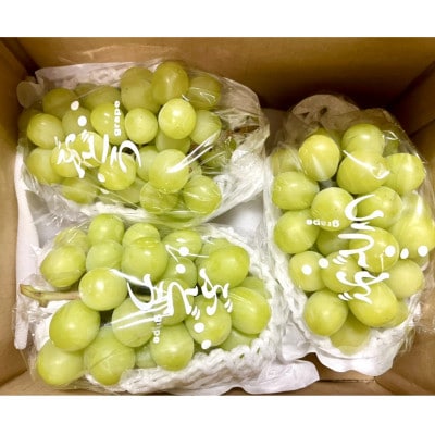 パクパク♪シャインマスカット1.2kg(3～4房)