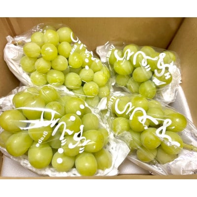 パクパク♪シャインマスカット1.2kg(3～4房)