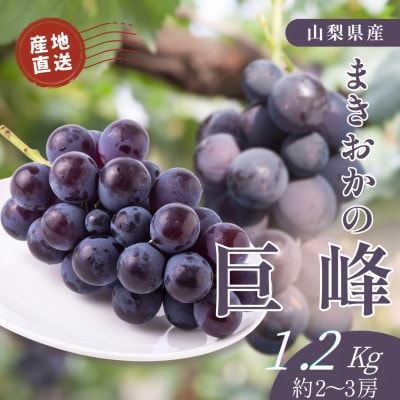 山梨県まきおか産　巨峰1.2Kg