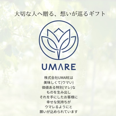 山梨県まきおか産　巨峰1.2Kg