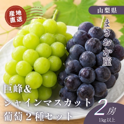 山梨県まきおか産　巨峰・シャインマスカット　葡萄2種セット